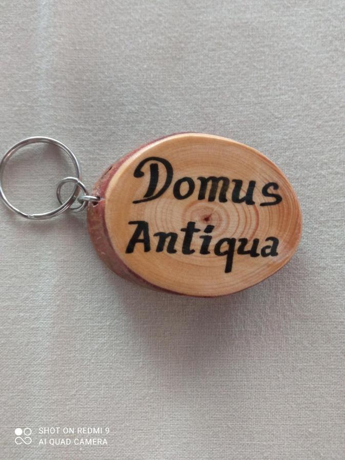 Domus Antiqua San Lorenzo Apartment *